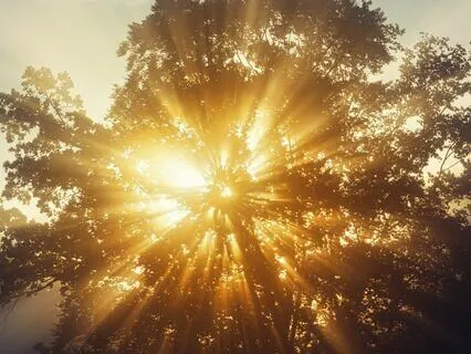 20 Minutes Yoga Nidra For Inner Fire