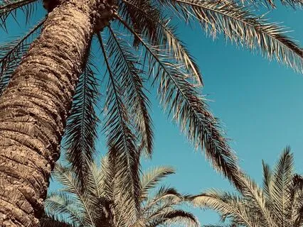 20 Positive Affirmations For Growth