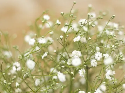 2012 Was The Beginning Of The End - My Observation On The Recent Sudden Rise In Spiritual Awakening