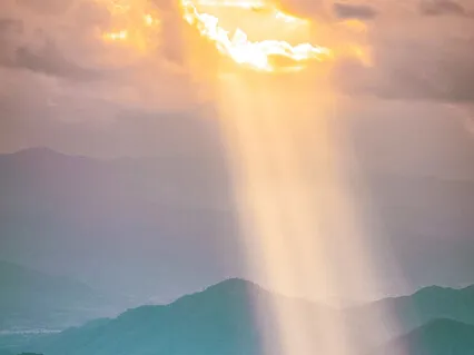 Power Through The New Year With Gratitude