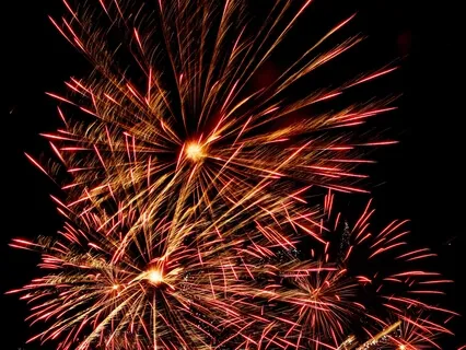 2020 Lunar New Year Practice