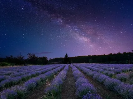 2021 New Relaxing Music For Your Soul