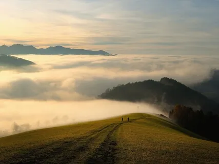 2021 New Stress-Free Relaxation