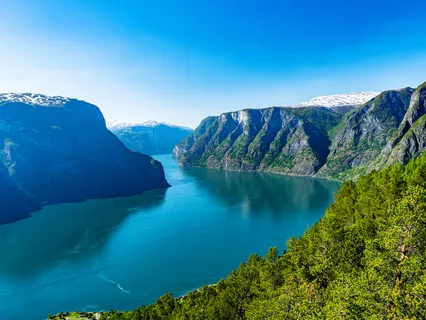 2021 Peaceful Transition Into A New World 