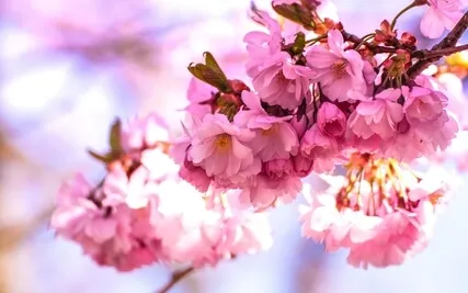 2023 May Channeling Guidance & Predictions 