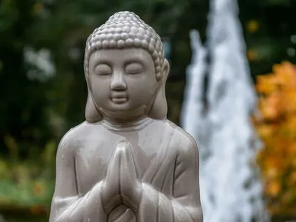 2024 To 2025 - Intention