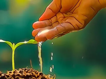 2025-09-29 - Qigong Class - Guided Relaxation