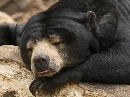 2025-11-10 - Guided Relaxation