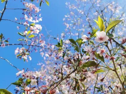 2025 New Year Affirmations