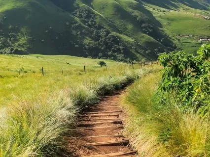 2026 2nd Quarter Forecast: April, May, June