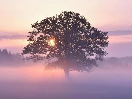 2026 Energetic Overview