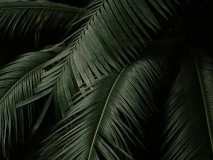 2026 Series: Palm Sunday - The Rest Of Surrender