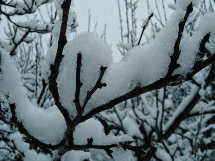 2026 Series: Winter Wk 5 - Beneath The Surface