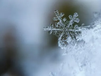 2026 The Gift Of Sacred Rest Series: Sacred Winter Rest