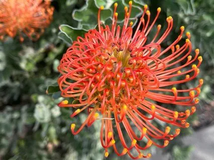 20m Meditation Prep For Challenging Situations