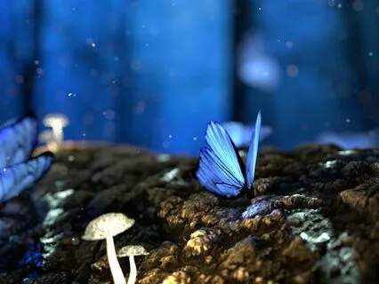 20min Yoga Nidra for a Restful Night of Sleep