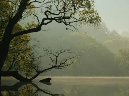 20-minute Mindfulness Meditation