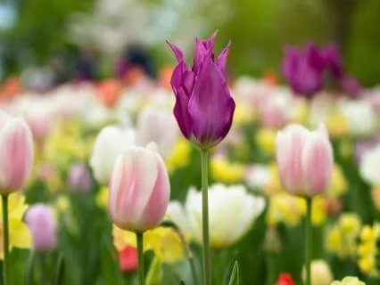 21 Affirmations To Embrace Your Inner Power