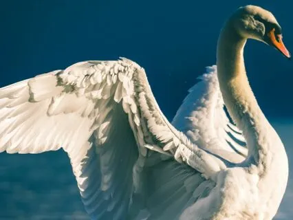 21 Blessings From The Divine Feminine