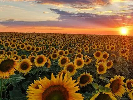 21 Daily Affirmations For Clarity, Hope, Passion And Love