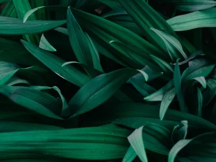 21 Day Food Freedom And Body Love Journey: Day 2