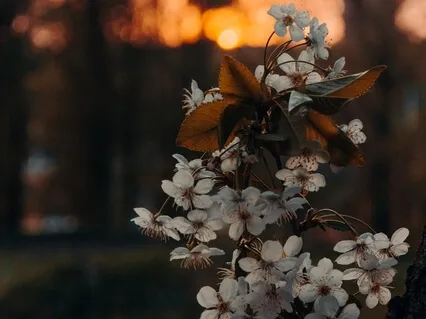 21 Day Food Freedom And Body Love Journey: Day 3