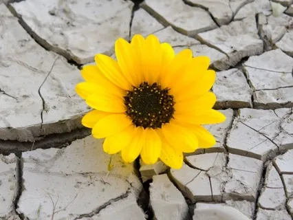 21 Day Of Morning Mantra - Day 06 : Resilience And Strength