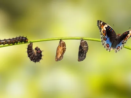 21 Day Of Morning Mantra -Day 19: Ever-Changing Of Life