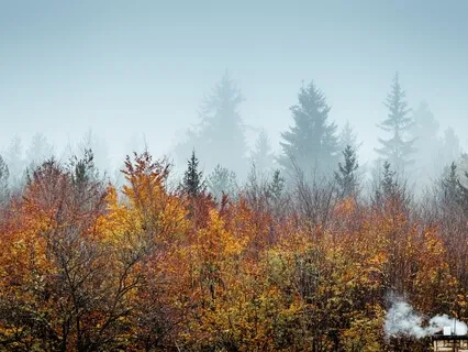 21 Days Mindfulness Practice - Day 10