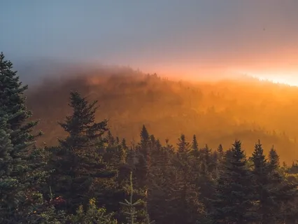 21 Days Mindfulness Practice - Day 14