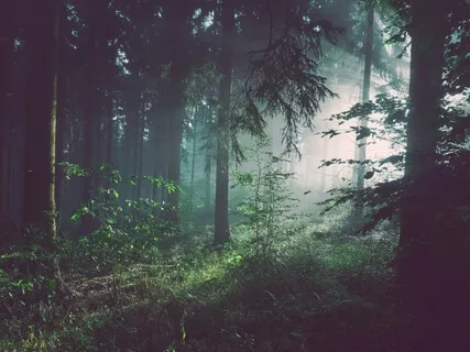 21 Minute Meditation | Raising Your Joy Bar