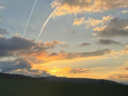 21-Minute Yoga Nidra: Stillness In Spring