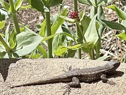 21. New Perspectives - Music Only - WIWD