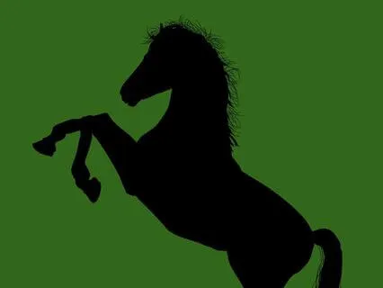 22 Black Beauty - Read By Stephanie Poppins