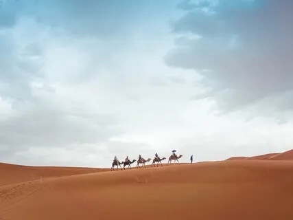 Living In "The Pause"