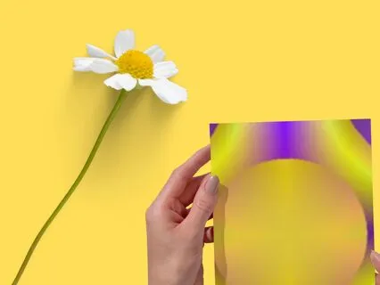 22. Opinion: To Form A View Not Verified By Facts