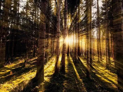 222Hz Connects With Spiritual Or Metaphysical Concepts