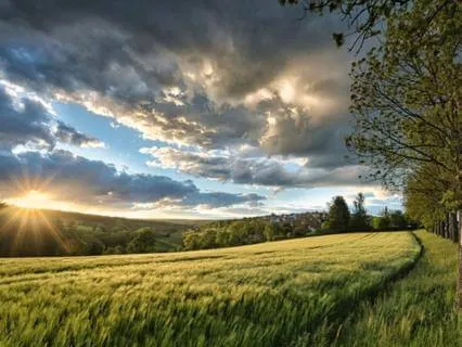 23 Minute Meditation:  Feeling All Lit Up!