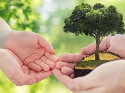 WOW 24/50: Are You The Legacy Of Your Life?