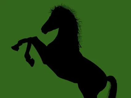 24 Black Beauty - Read By Stephanie Poppins