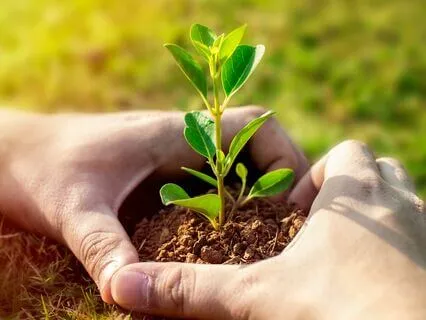 25 Affirmations For Amplifying Gratitude