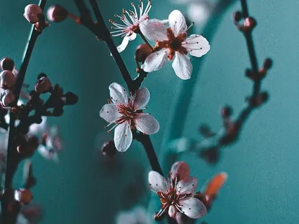 25. Gratitude [20 Mins]