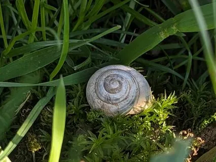 25 Hz Binaural Beat Music For Stress And Anxiety Relief