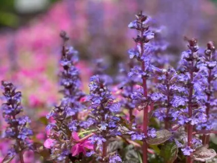 25 Min Yoga Nidra For Wellbeing And Relaxation