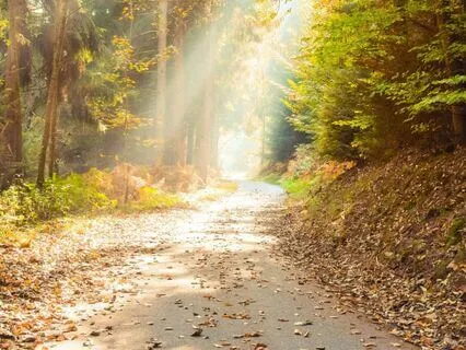 25 Minute Empowering Walking Meditation