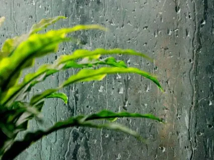 25-Minute Focus Sprint On A Rainy Day With Typing Sounds