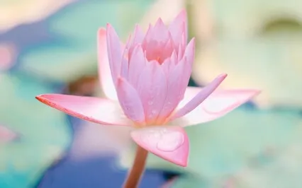 25 Minute Meditation With Singing Bowl