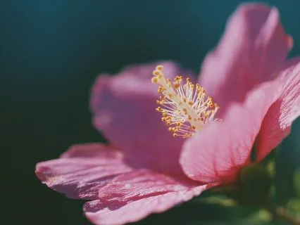 25-Minute Music For Reflection And Meditation