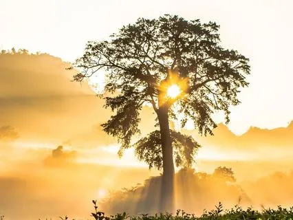 25 Minute Yoga Nidra For ADHD Support