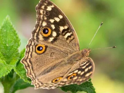 25 Positive Affirmations For Challenging Times